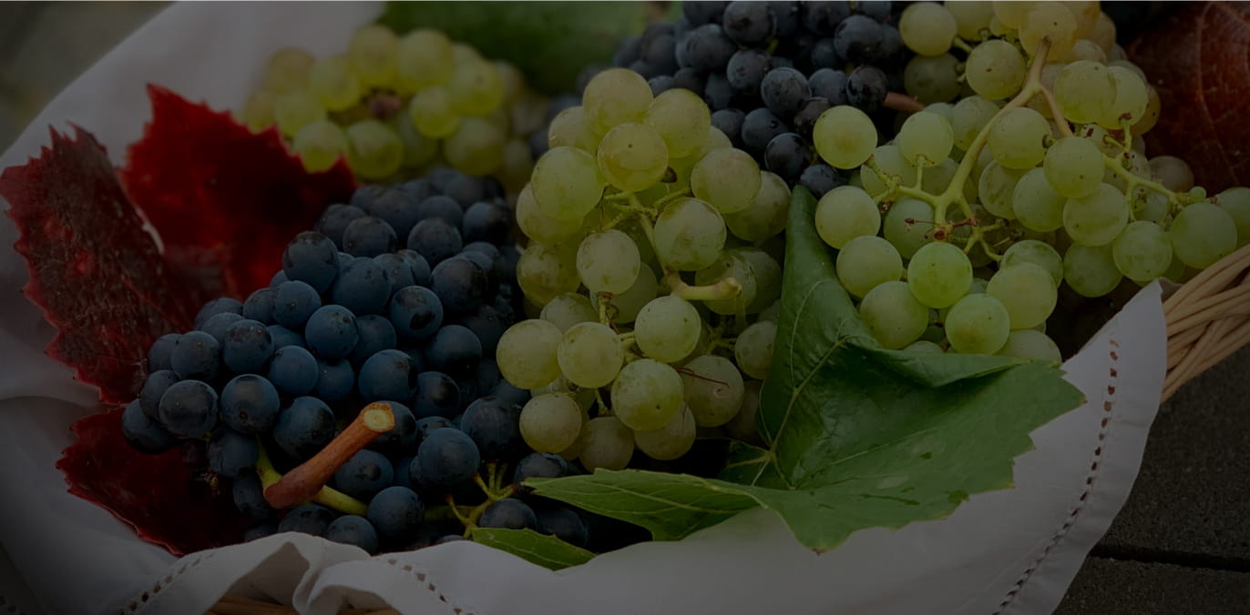 Organic Product